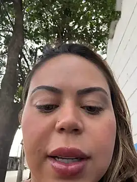 Screenshot lariic