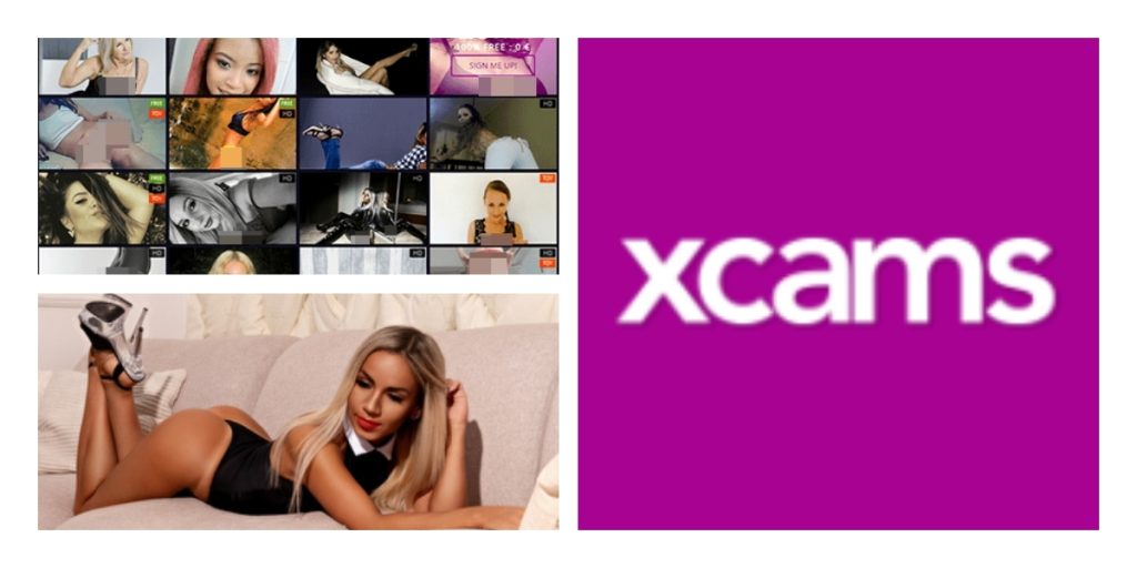 Screenshot XCams
